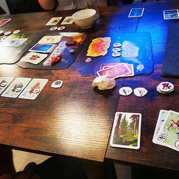 Les-meilleurs-jeux-de-societe-chez-LA-LUDO-CAVE-a-Issoire -04-4